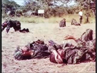 Tropa De Elite Portuguesa Comandos Flechas TE´sGE´s 1962-74
