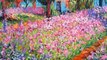 Claude Monet Garden Paintings