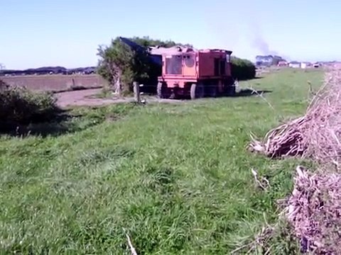 Trimming trees the easy way