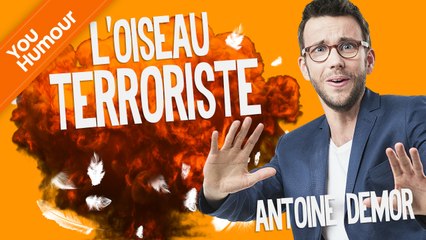 ANTOINE DEMOR - L'oiseau terroriste