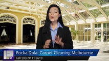 Pocka Dola: Carpet Cleaning Melbourne Narre Warren Great5 Star Review by allewis82