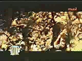 Daddy Yankee