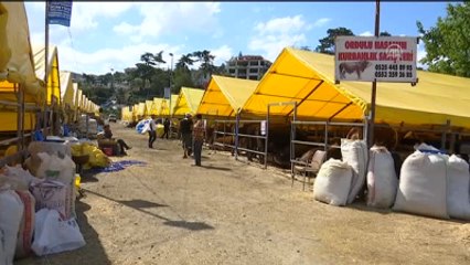 Üsküdar Belediyesi, "Rueff" Yöntemiyle Kesim Tekniğini Kadın Kasaplara Öğretti