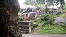 Ce fou s'amuse à couper les perches à selfie des touristes!