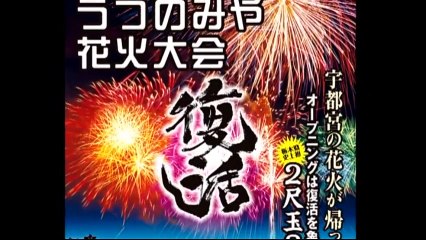 打ち上がれ 俺たちの本気　～うつのみや花火 ボランティアの夏～