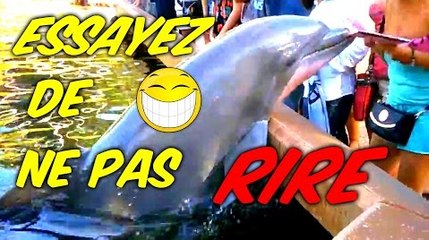 ESSAYEZ DE NE PAS RIRE 11