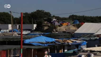 "Selva de Calais" com os dias contados