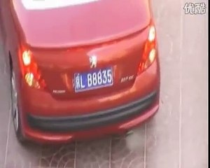 Mulher Dá Lição A Estacionar!