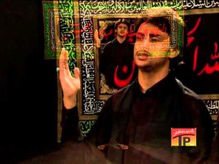 Akbar Tumhare Bad Meri, Zeeshan Haider 2013 14