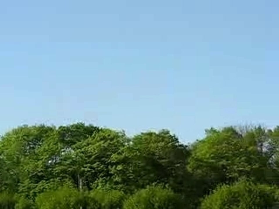 Mvi_3190
