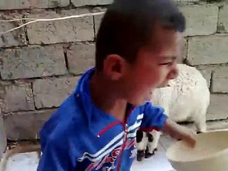 اضحك من قلبك حتى البكاء hd جديد