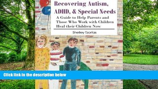 Big Deals  Recovering Autism, ADHD,   Special Needs: A Guide to Help Parents and Those who Work