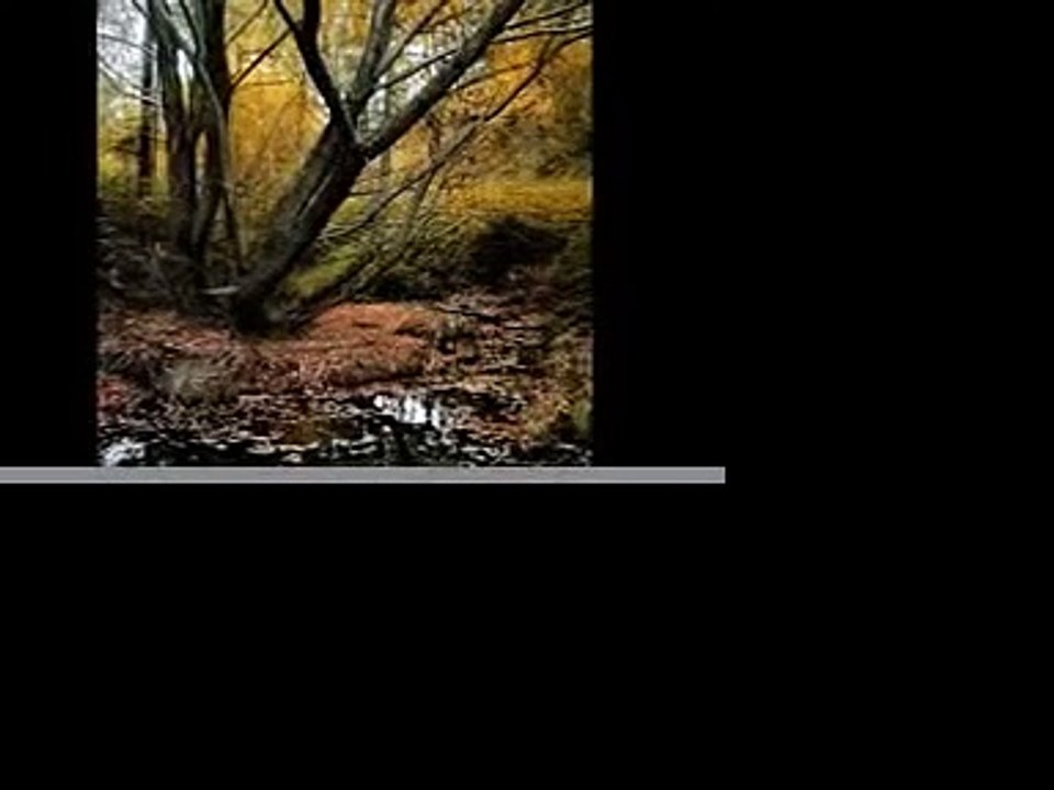 Faun - Zeit Nach Dem Sturm & Der Stille Grund