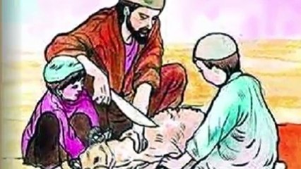 কোরবানির পশু কেমন হবে আর কিভাবে কোরবানি করতে হবে আসুন দেখে নেই