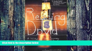 Big Deals  Reading David: A Mother and Son s Journey Through the Labyrinth of Dyslexia  Best
