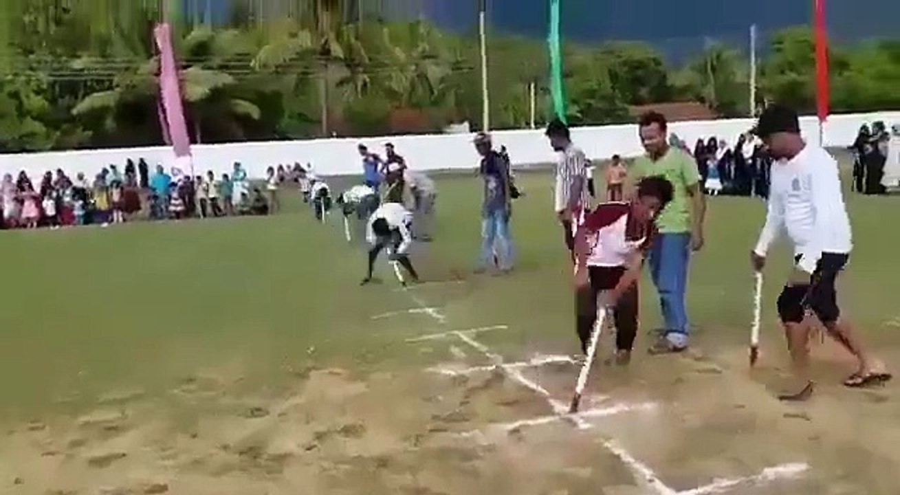 funny videos