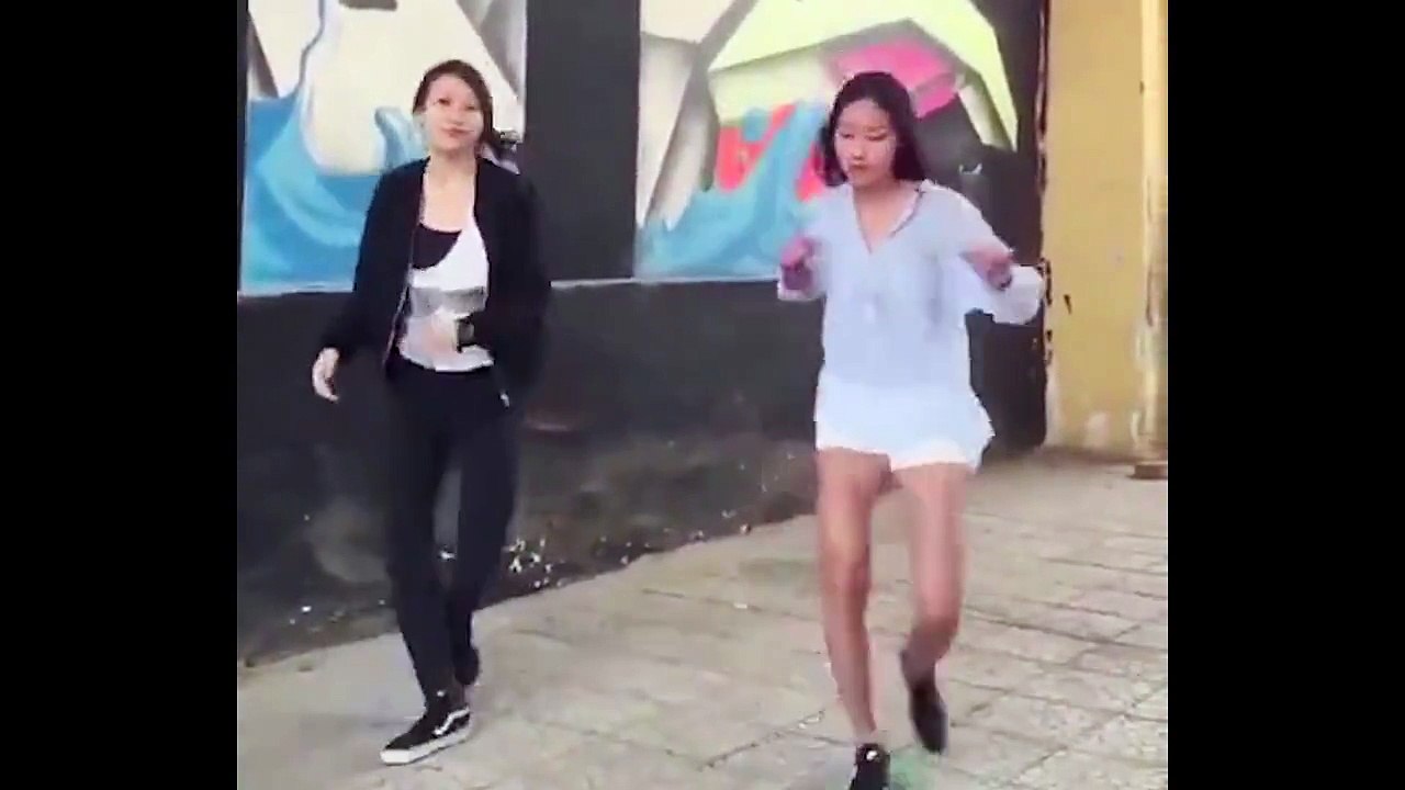 funny videos