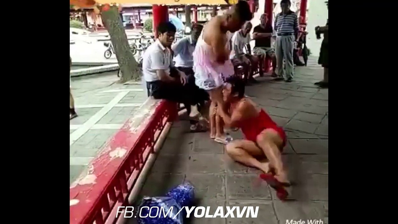 funny videos