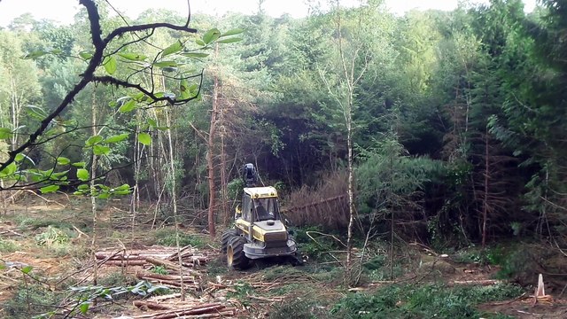 Travaux forestiers en forêt