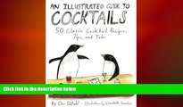 behold  An Illustrated Guide to Cocktails: 50 Classic Cocktail Recipes, Tips, and Tales