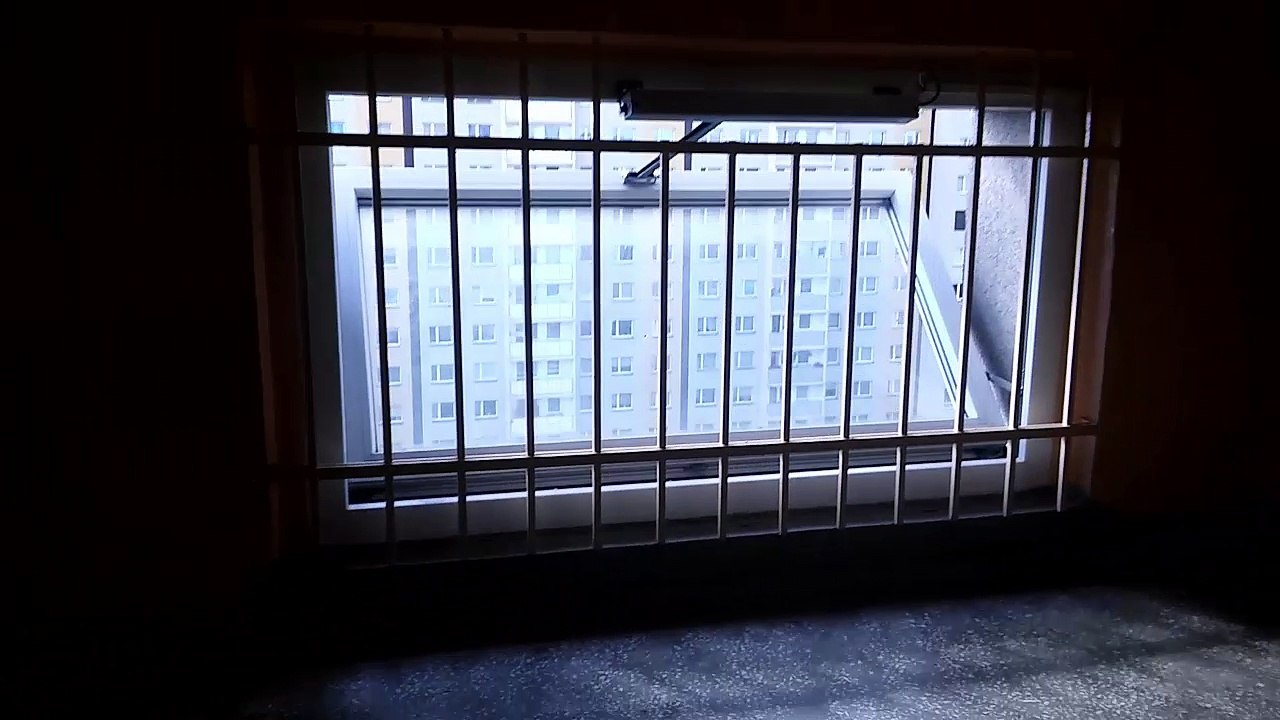 MOV_1833