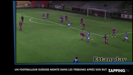 Suède : Il marque un but et file en tribune pour s'applaudir, les images insolites  ! (Vidéo)