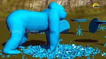 gorilla Color Songs - 3D Animation Learning Colors Nursery Rhymes for children
