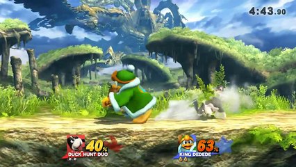 Duck Hunt Duo Branch Zoning