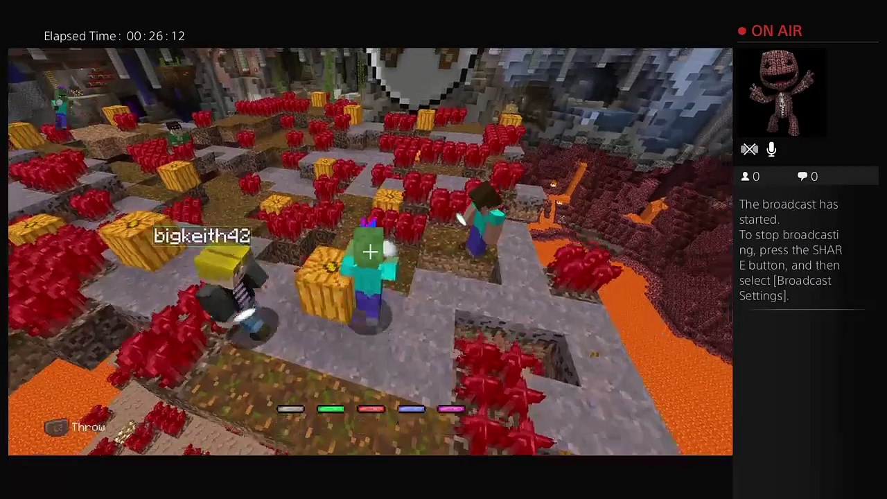 Mini games (9)