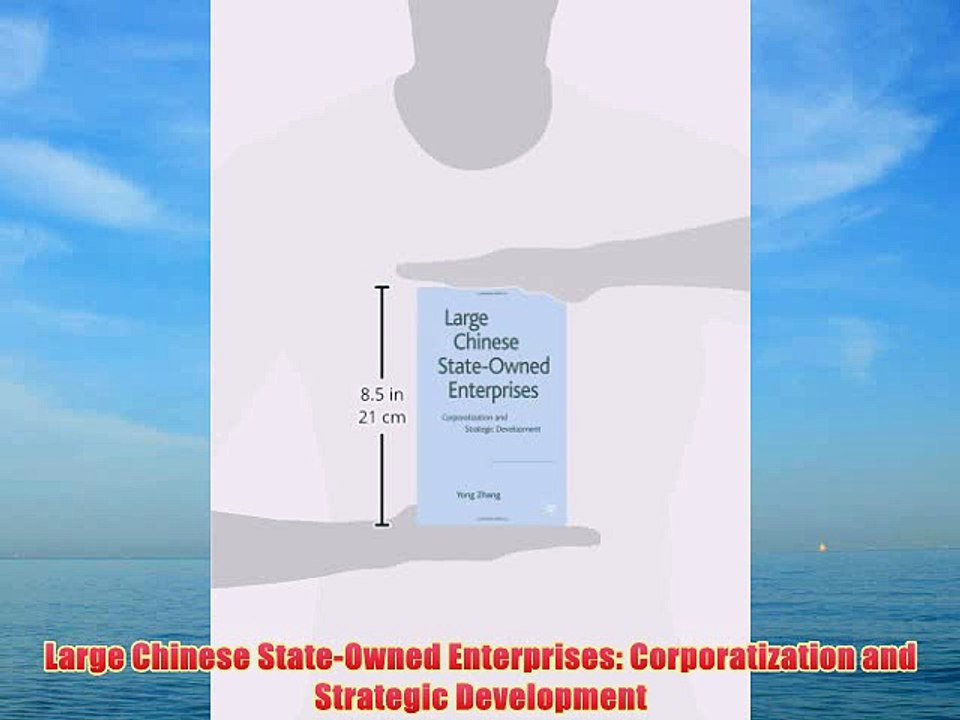 [PDF] Large Chinese State-Owned Enterprises: Corporatization and Strategic Development Full