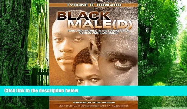 Big Deals Black Male(d): Peril and Promise in the Education of African American Males