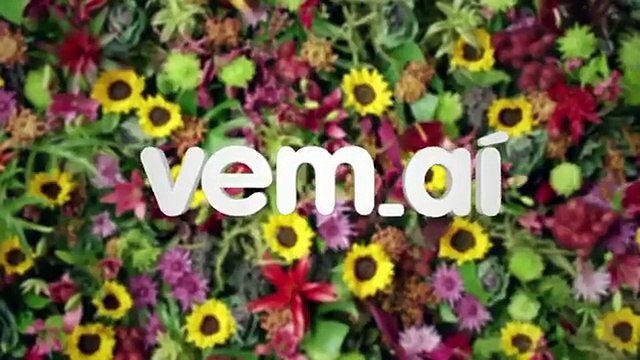 Vem Aí na Globo: veja as novidades da programação! Vem Novela de amor!!