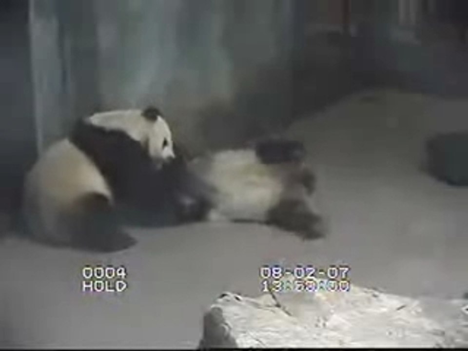 Mei and Tian Round 2 continued