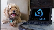 VIDEO WAVE DEMO- VIDEO WAVE REVIEW - VIDEO WAVE FULL REVIEW