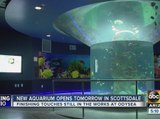 OdySea Aquarium opens Saturday in Scottsdale