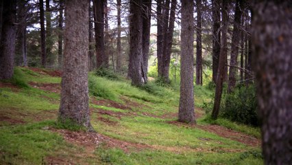 Pokémon GO - Get Up and Go!