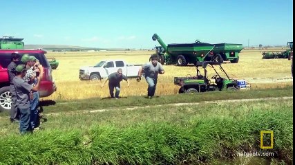 Cats vs. Gravity - Science of Stupid