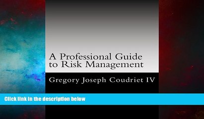 Must Have  A Professionals Guide to Risk Management: A comprehensive analysis of the risk