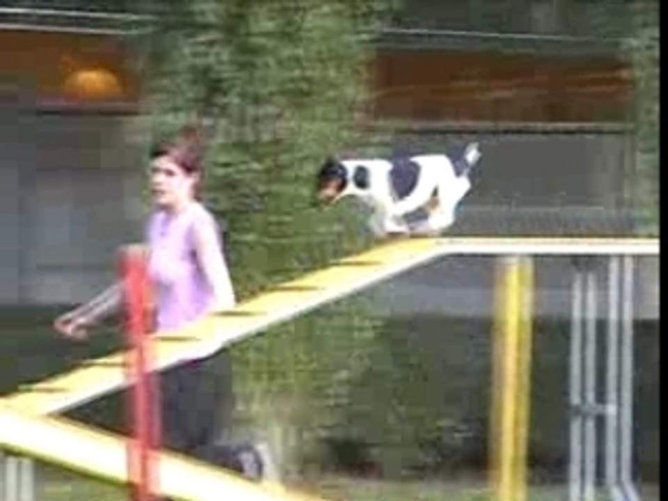Marion agility