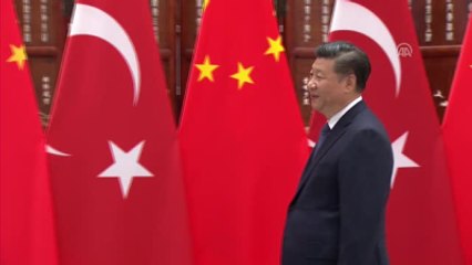 Erdoğan, Şi Cinping ile Görüştü (2)