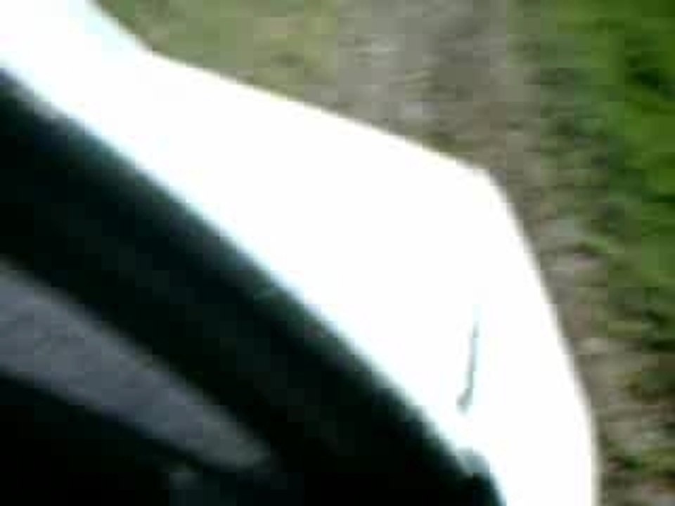 Palto et palto