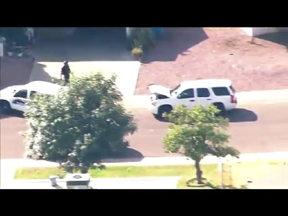 ☆ ★Pugs Chistosos Y Adorables~ Pugs Graciosos 2014☆ ★