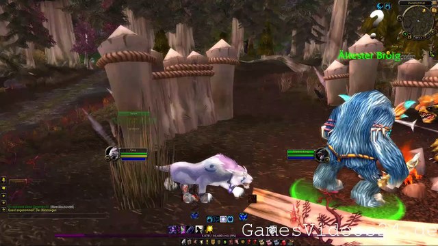 World of Warcraft Quest: Der Bärensegen (Allianz)