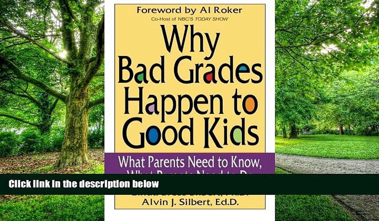 Big Deals  Why Bad Grades Happen to Good Kids: What Parents Need to Know, What Parents Need to Do