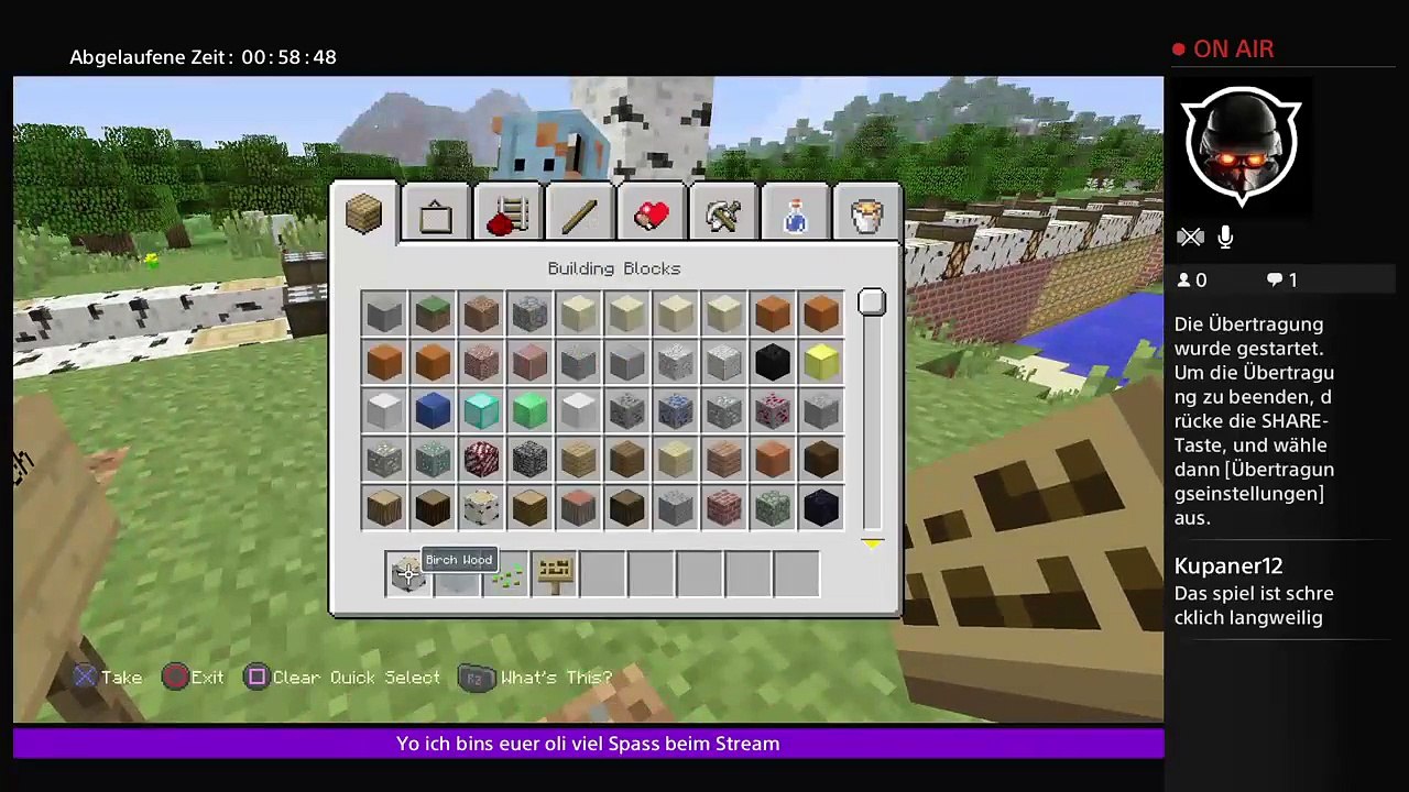 Minestream chilliger liveStream (4)