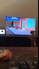 Dog Barks at Cartoon Dog from the Simpsons