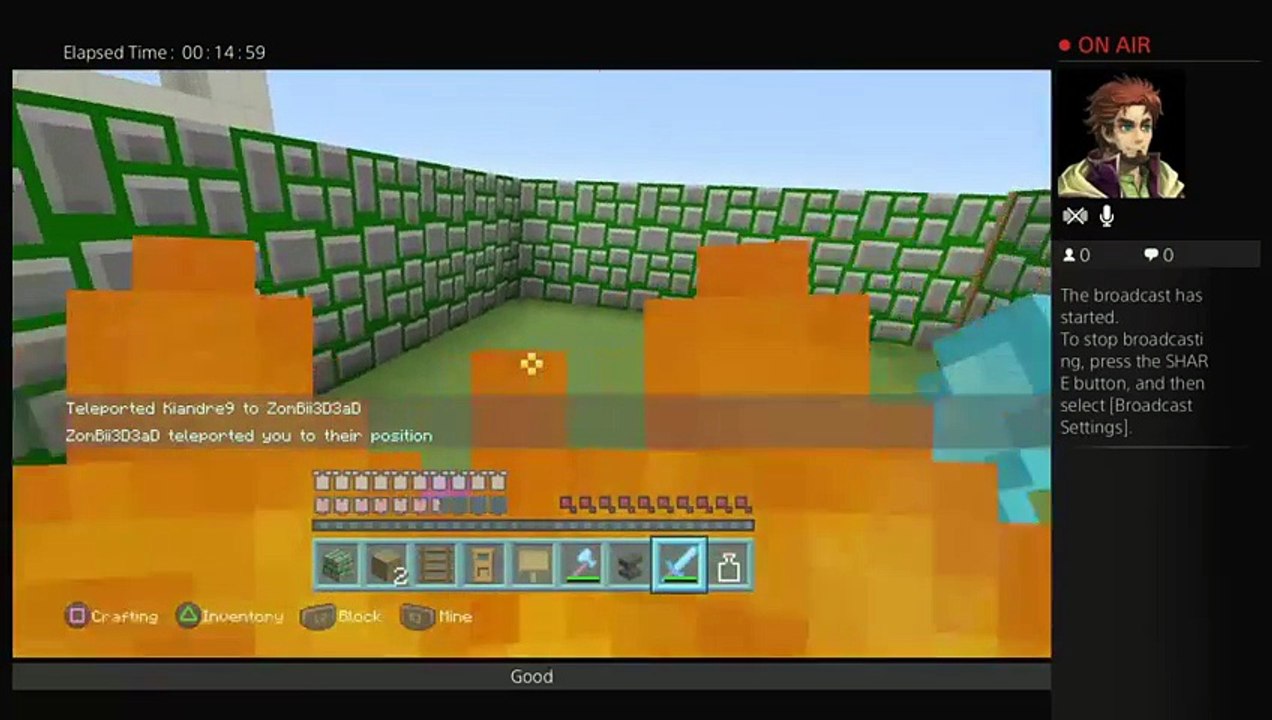 Playingminecraft (18)