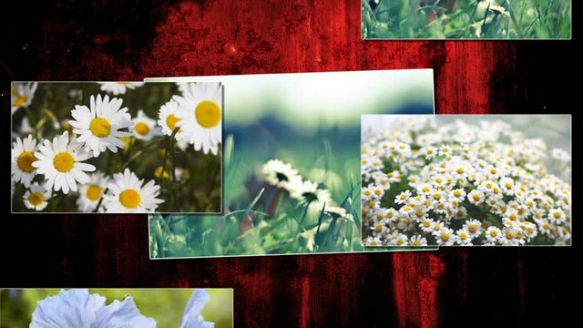 Splet narodnih pesama 6