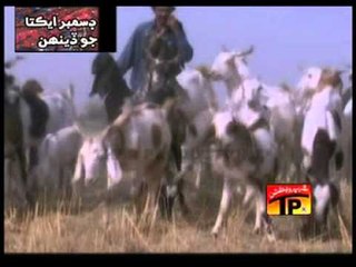 Hin Dharti Ja Warinda hin Monkhei, Khushboo Lagari