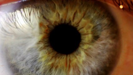 Promo 'Gran Hermano 17' (Telecinco) - Estreno jueves 8 22.00h